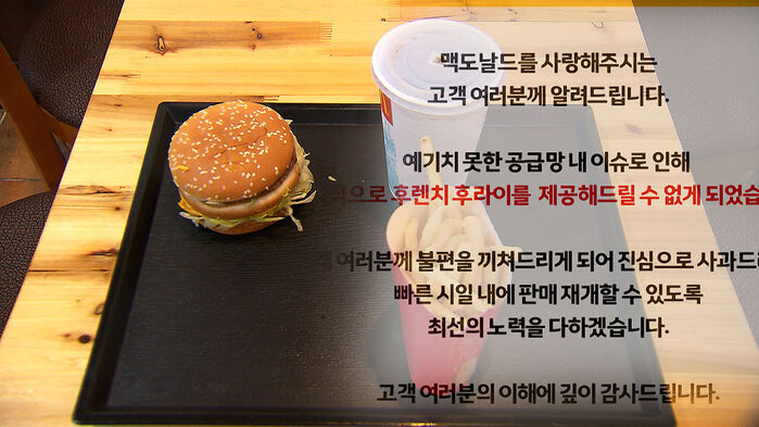 권애리 뉴스스프링