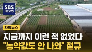 [자막뉴스] 지금까지 이런 적 없었다&hellip;"농약값도 안 나와" 절규