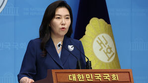민주당 "'공천 개입' 막장드라마에 국민의힘 등판&hellip;특검법 수용해야"