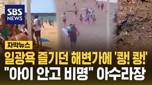 [자막뉴스] 크름반도 공격