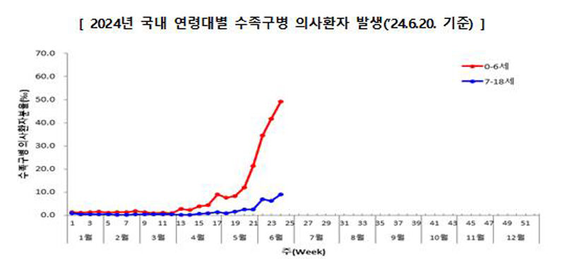 2024년 국내 연령대별 수족구병 의사환자 발생 (사진=질병관리청 제공, 연합뉴스)