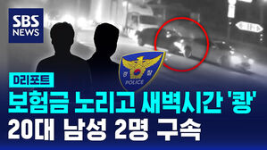 [D리포트] 보험금 노리고 새벽시간 '쾅'&hellip;20대 남성 2명 구속