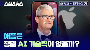 애플은 정말 Ai 기술력이 없을까?