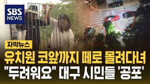 [자막뉴스] 들개 떼