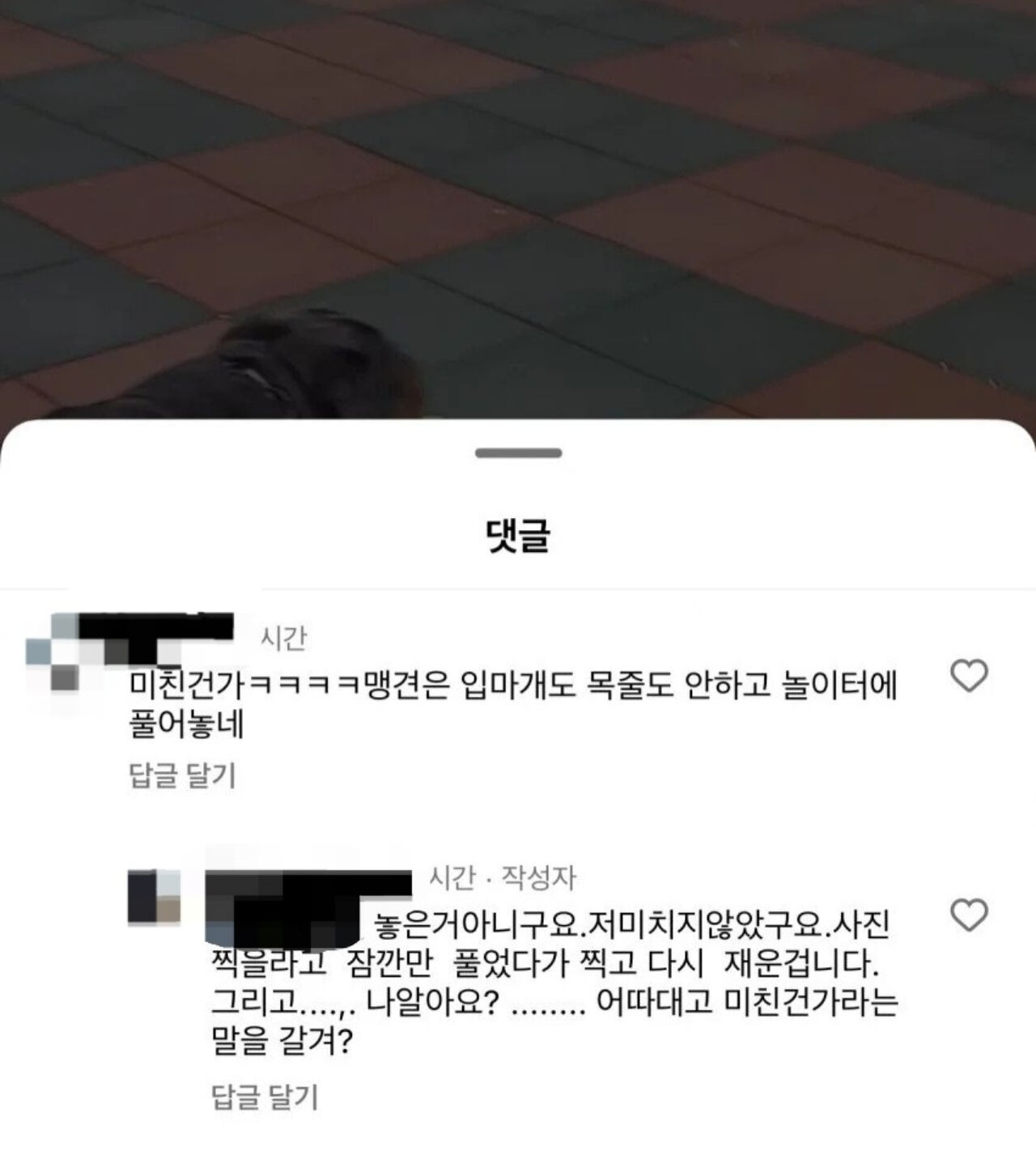 입마개, 목줄 착용 안 한 사실을 지적한 누리꾼과 설전을 벌이는 로트와일러 견주. (사진=온라인 커뮤니티)