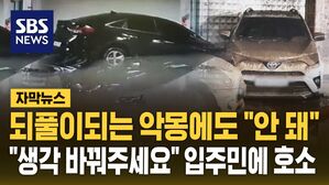 [자막뉴스] 물막이판