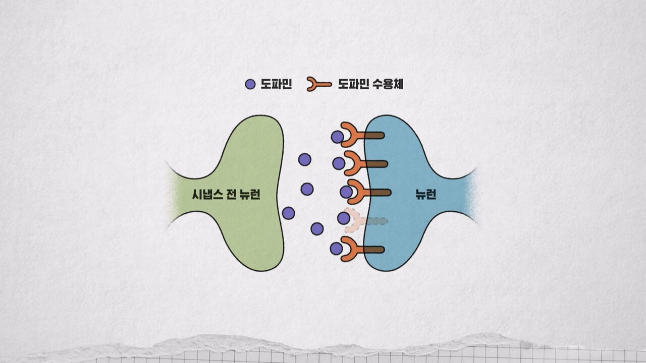 장동선 교양이를 부탁해