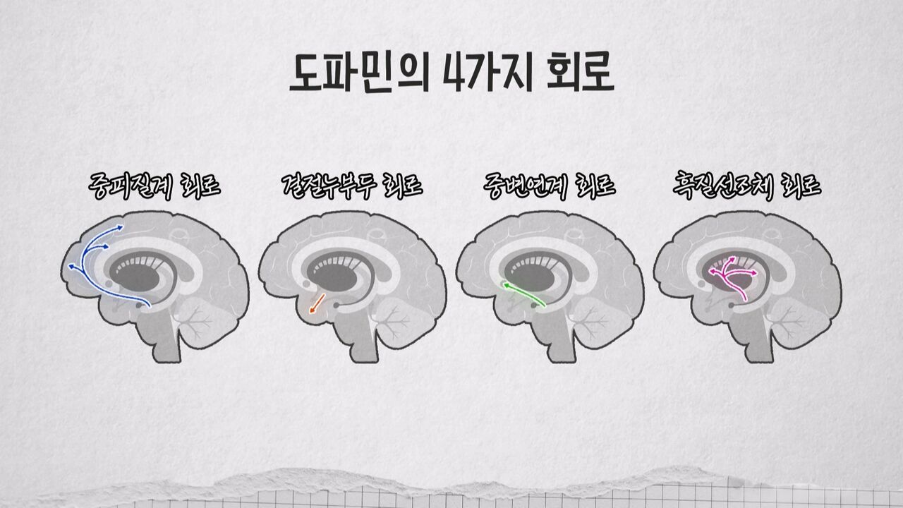 장동선 교양이를 부탁해