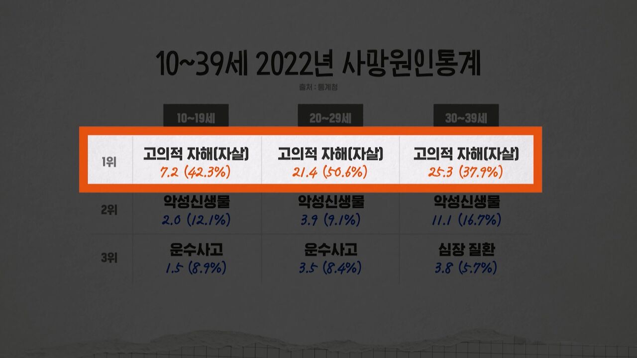 장동선 교양이를 부탁해