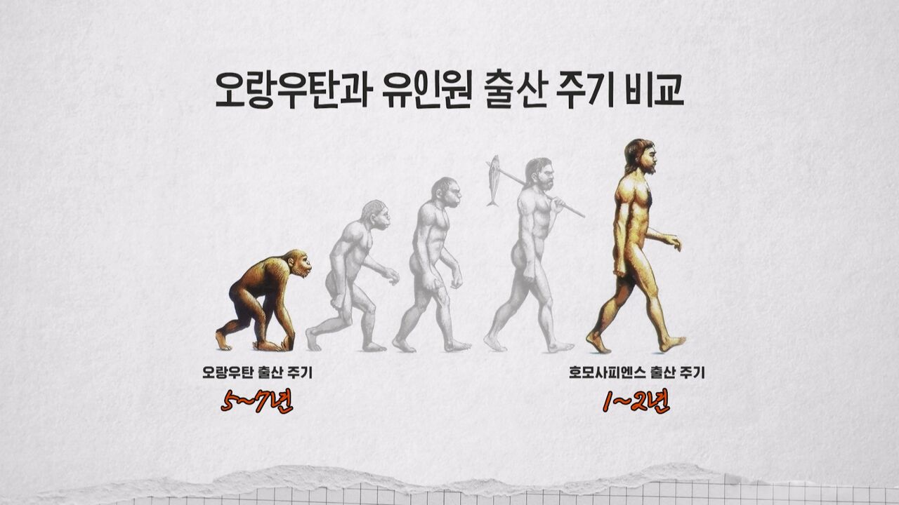 장동선 교양이를 부탁해
