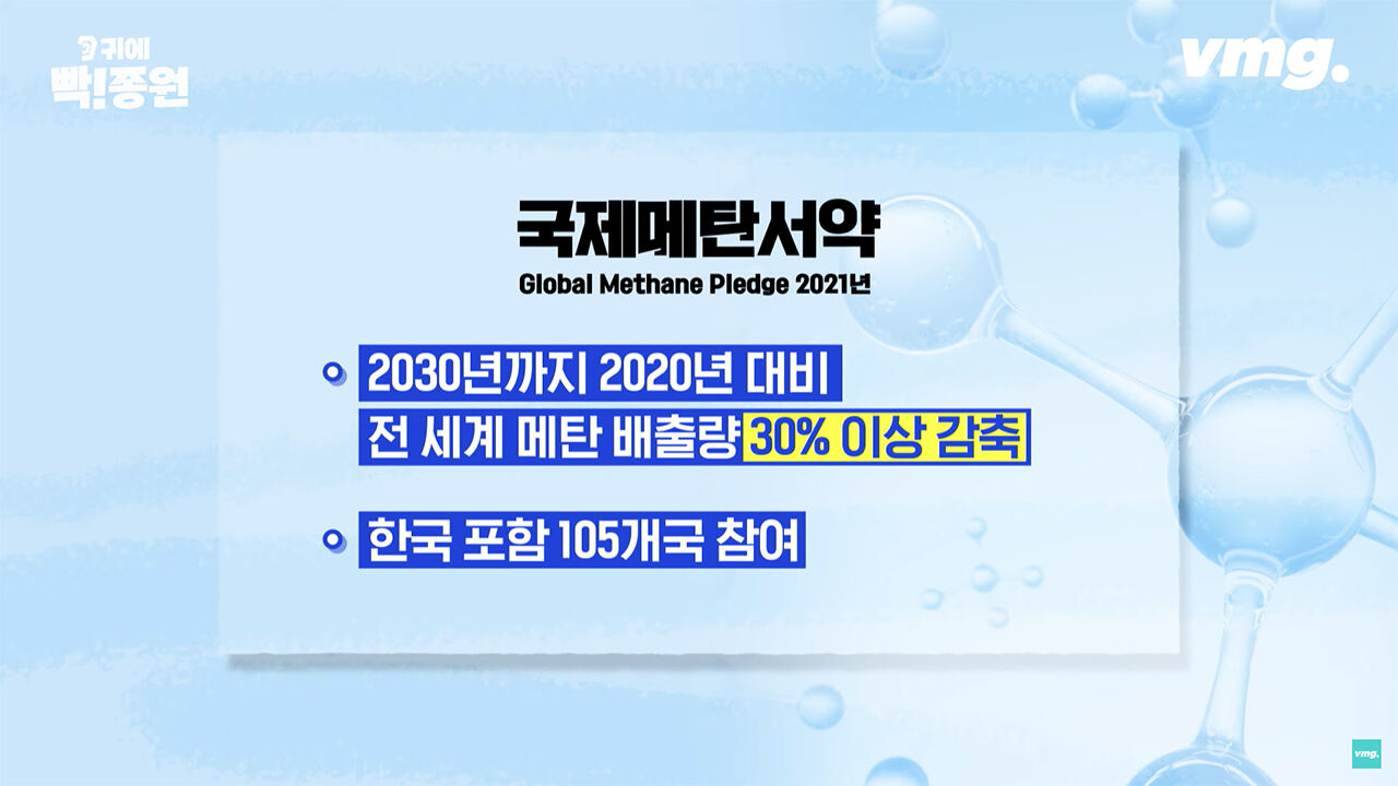 김종원 귀에 빡종원