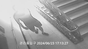 "화장실 갔다 왔을 뿐인데&hellip;" 허위신고에 성범죄자 몰렸던 20대의 사연 [스프]