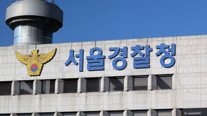 경찰, 복귀 전공의 '명단 공개·부역자 낙인' 동료·의사 입건