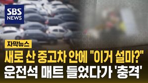 [자막뉴스] 인천 중고차