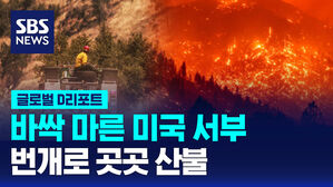 [글로벌D리포트] '바싹 마른' 미 서부&hellip;번개로 곳곳 산불