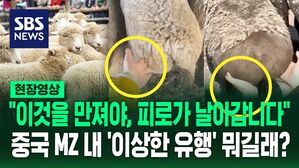 [영상] "걱정과 피로를 날리고 싶다면 만져보세요!" "양 엉덩이를 보호해야 합니다!" 중국 MZ 내에서 퍼진 이상한 유행