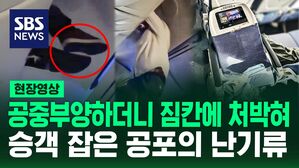 [영상] "비행기 안에서 죽을 줄 알았다" 난기류에 아수라장 된 기내&hellip;급강하하면서 승객이 짐칸에 갇히기도
