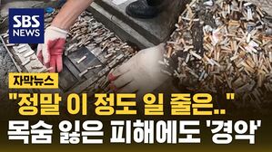 [자막뉴스] 빗물받이