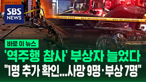 [바로이뉴스] '역주행 참사' 부상자 늘었다&hellip;"1명 추가 확인"