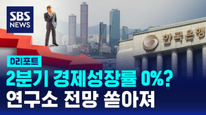 [D리포트] 2분기 경제성장률 0%?&hellip;연구소 전망 쏟아져