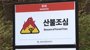 Former Wildfire Watchman with 10 Years Experience Arrested for Systematic Arson Following Hiring Rejection