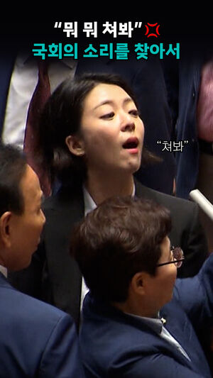 "뭐 뭐 쳐봐" 국회의 소리를 찾아서
