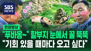 [영상] "푸바오&sim; 꼭 보러 올 거야" 약속 지킨 강바오, 3개월 만에 재회&hellip;"기회가 있을 때마다 만나러 오고 싶다"