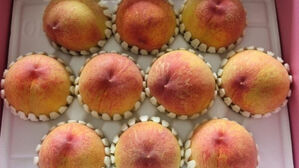 택배기사에 복숭아 한 박스 건네며 고마운 마음 전한 한 부부(사진=온라인 커뮤니티)