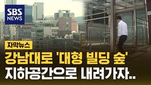 [자막뉴스] 강남대로 '대형 빌딩 숲' 지하공간으로 내려가자..