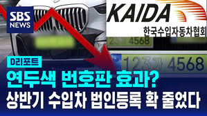 [D리포트] 연두색 번호판 때문?&hellip;상반기 수입차 법인등록 비중 역대 최저