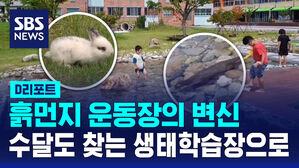 [D리포트] 생태체험공간으로 변신한 흙먼지 운동장&hellip;수달도 찾아와