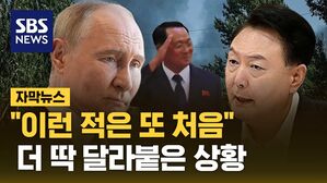 [자막뉴스] 윤 대통령 경고에 "방식이 좀"&hellip;더 딱 달라붙은 북한과 러시아