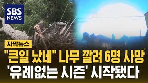[자막뉴스] "큰일 났네" 나무 깔려 6명 사망&hellip;'유례없는 시즌' 시작됐다