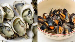 굴과 홍합(사진=픽사베이)