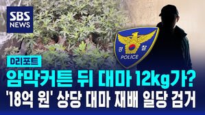 [D리포트] 수도권 아파트에서 대마 12kg 재배&hellip;14명 검거