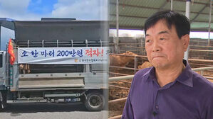 "팔아봤자 소똥밖에 안 남아요" 한우 사 먹긴 비싼데 농가들은 무너지고&hellip;뭐가 문제인가 [스프]