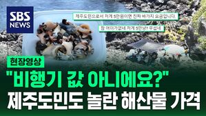 [영상] "다시 안 오고 싶다" "와 진짜 미쳤다" 제주도 해산물에 놀란 유튜버 누리꾼들 무슨 일?