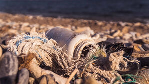 수과원 "우리 바다 해양 온난화, 지구 평균보다 심각한 수준"