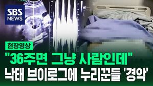[영상] "사실상 살인이야" "욕도 아깝다 신고할게요"  만삭 낙태 브이로그에 누리꾼 폭발