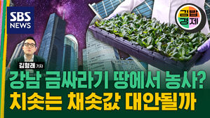 (수정) [김밥경제] 주문 즉시 수확 신선함이 내 입으로 강남 대형 빌딩 사이 수직농장