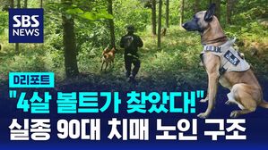 [D리포트] 실종 90대 치매 노인&hellip;수색견 '볼트' 활약에 무사 귀가