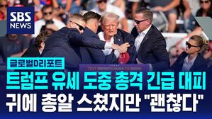 글로벌D_트럼프