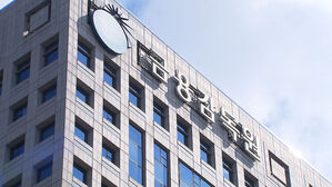 금감원 "비상계엄 이후 정치테마주 급등락&hellip;특별단속반 편성"