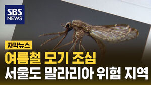 [자막뉴스] "평년의 3배" 서울도 위험&hellip;잠복기 1년까지 간다