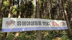 "멧돼지로 오인"&hellip;영주서 엽사가 쏜 총에 50대 여성 숨져