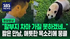 [현장영상] "할부지 차마 가질 못하겠네&hellip;" 3개월 만에 만난 푸바오 짧은 만남에 '뭉클'