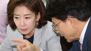 나경원 "한동훈 캠프 여론조사, 당심에 영향 주려는 나쁜 의도"