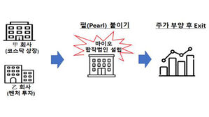 300억대 주가조작하고 가상인물에 책임 떠넘긴 일당 재판에