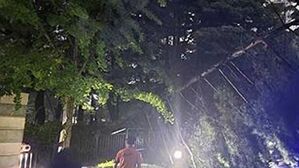 파주&middot;연천&middot;양주&middot;동두천&middot;포천 '산사태 주의보'