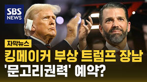 [자막뉴스] 킹메이커 부상한 트럼프 장남&hellip;문고리권력 '예약'?